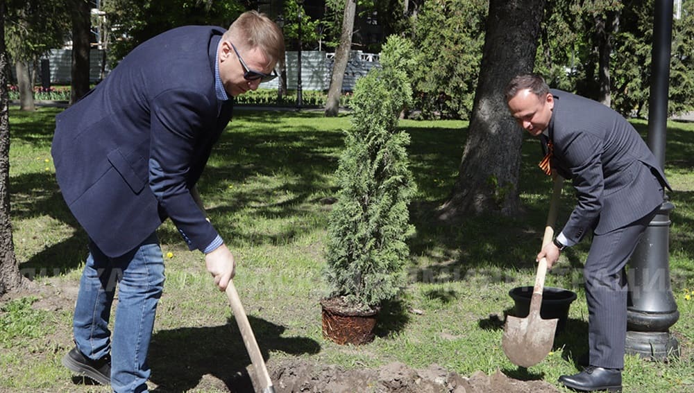 В сквере Карла Маркса Брянска в рамках экологической  акции высадили 30 туй