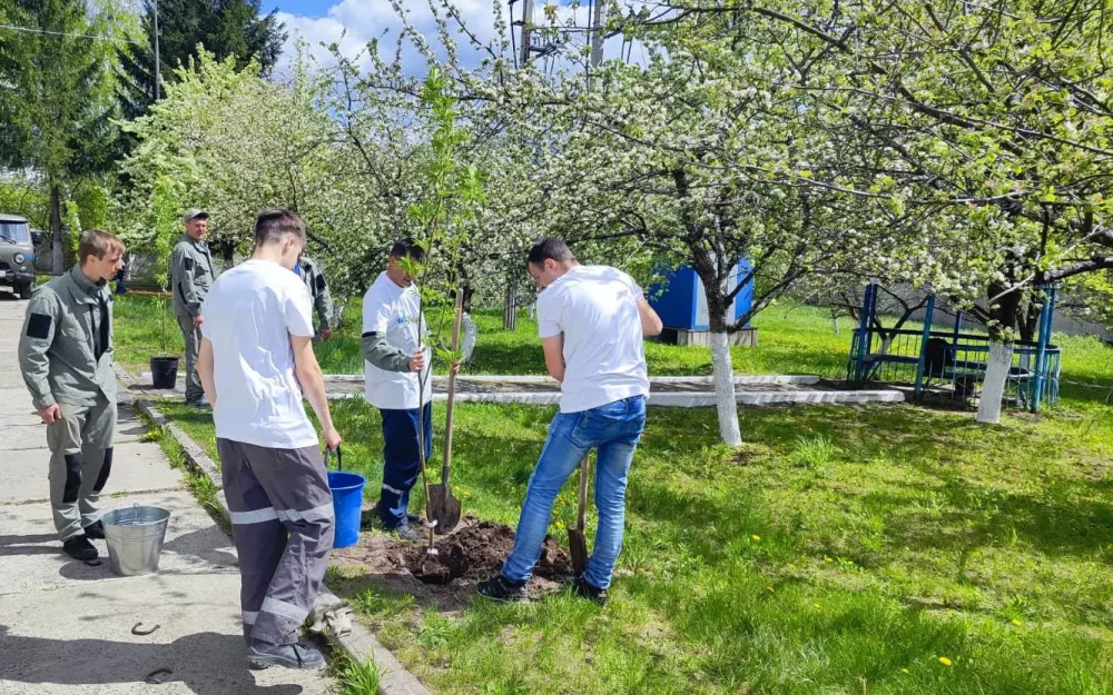 Специалисты брянского филиала ПАО «Россети Центр» успешно реализуют экологическую программу