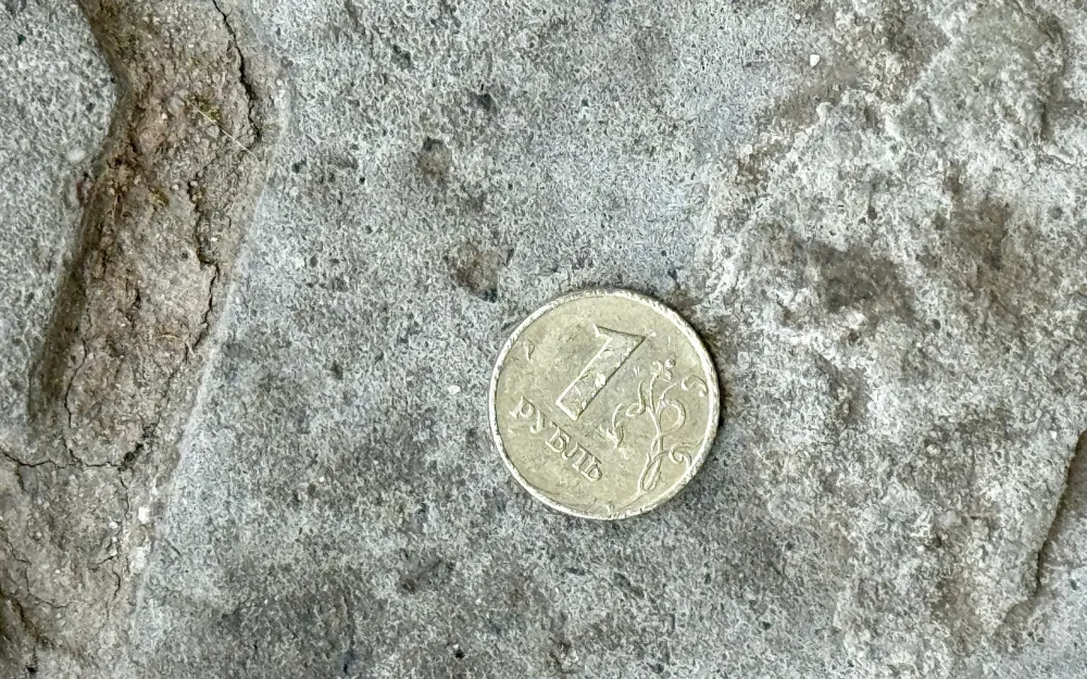 Жители Брянской области отнесли в банки 814 тысяч монет