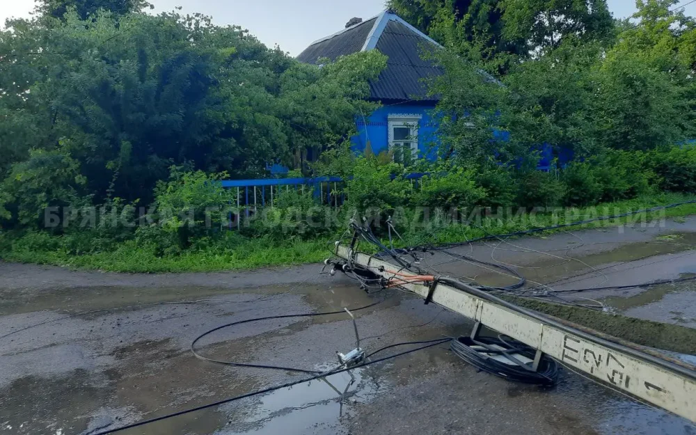 В Советском районе Брянска от сильного ветра рухнули дерево и столбы