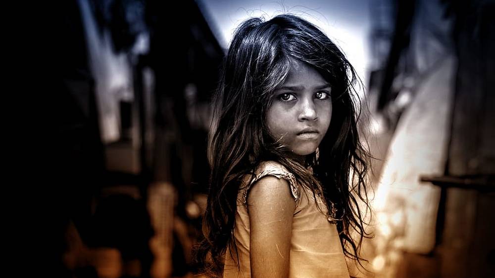 Брянский депутат: Душегубы превращаются в поборников демократии