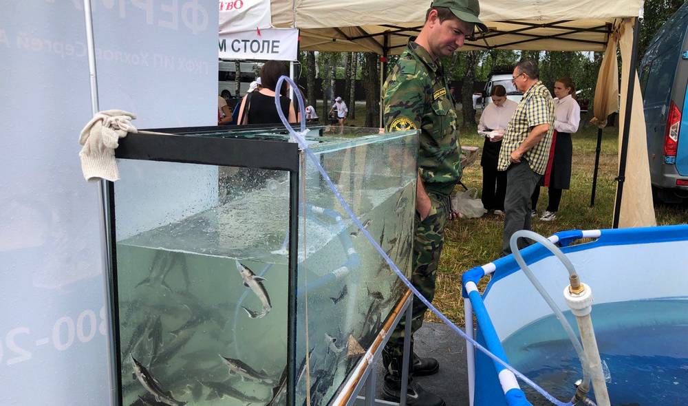Крупнейшее рыбное хозяйство Брянской области стало семейным делом