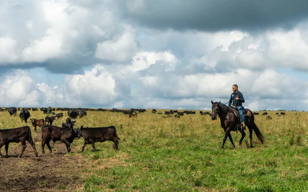 Русский ковбой. История одного пути