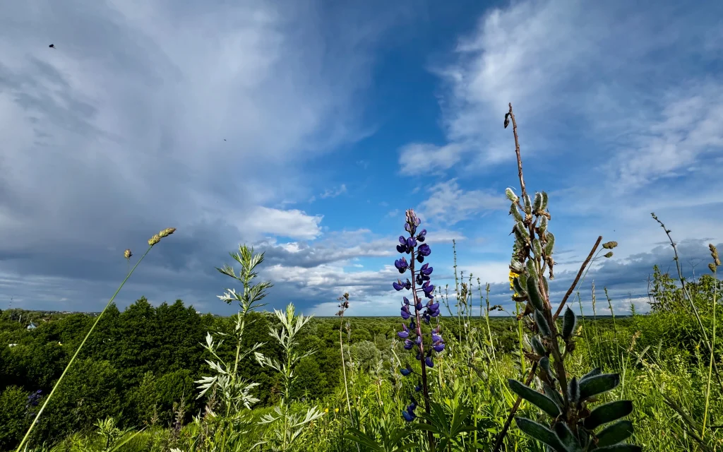 Жителям Брянской области сообщили об опасном ультрафиолете