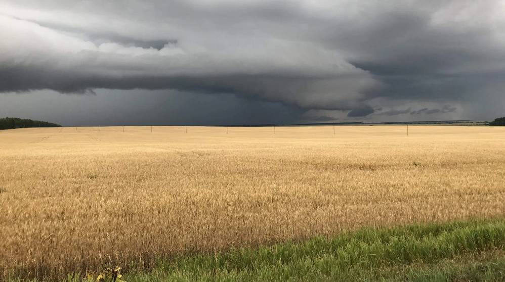 На Брянскую область 19 июля обрушатся ливни с грозами и градом при ураганном ветре