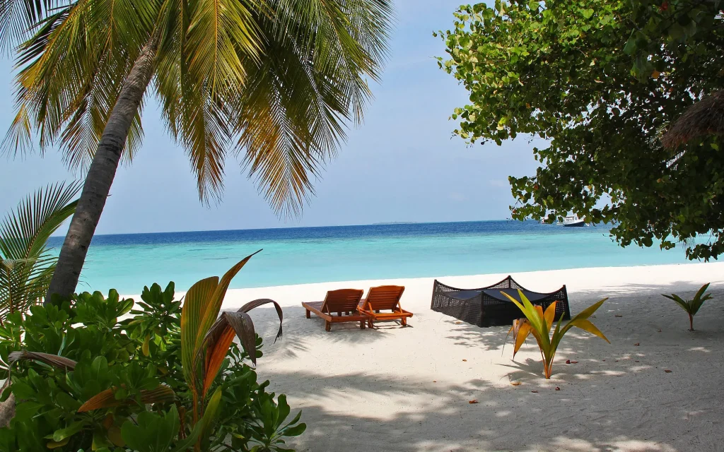 Жители Брянской области стали чаще отдыхать в отелях на Мальдивах