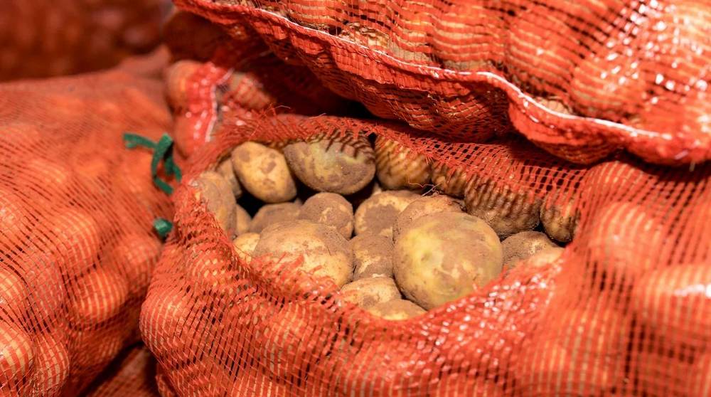 Брянские фермеры получили новый канал сбыта овощей и фруктов