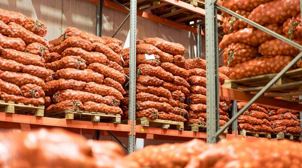 Брянские фермеры получили новый канал сбыта овощей и фруктов