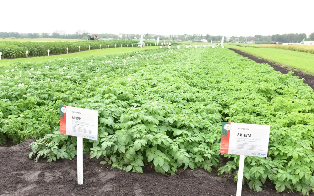 Экспорт продукции брянского АПК в прошлом году вырос на 25 процентов