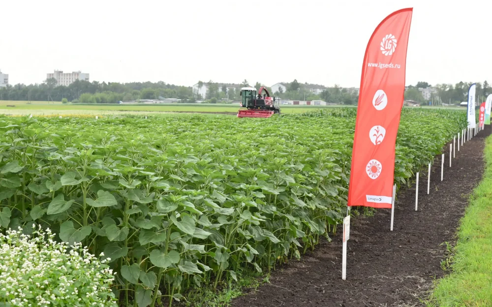 Экспорт продукции брянского АПК в прошлом году вырос на 25 процентов