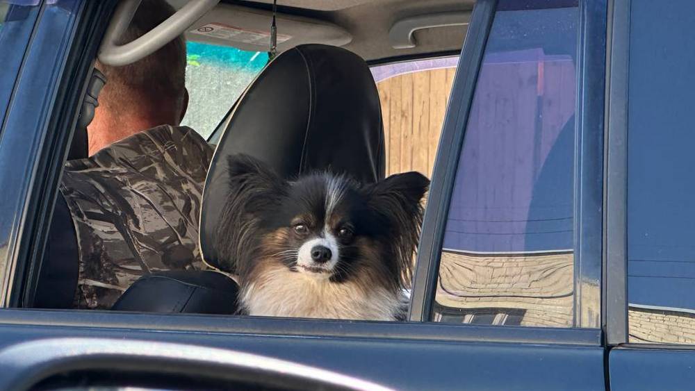 Угроза миновала: брянским водителям не придется пересдавать экзамены