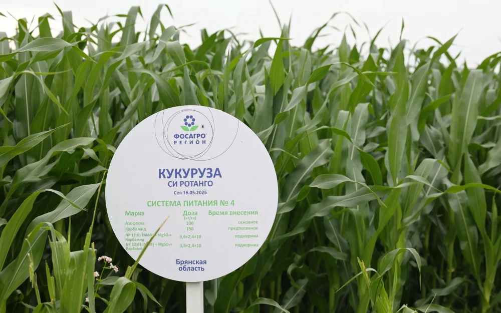 Улучшение системы питания растений вывело сельхозпредприятия на большие урожаи