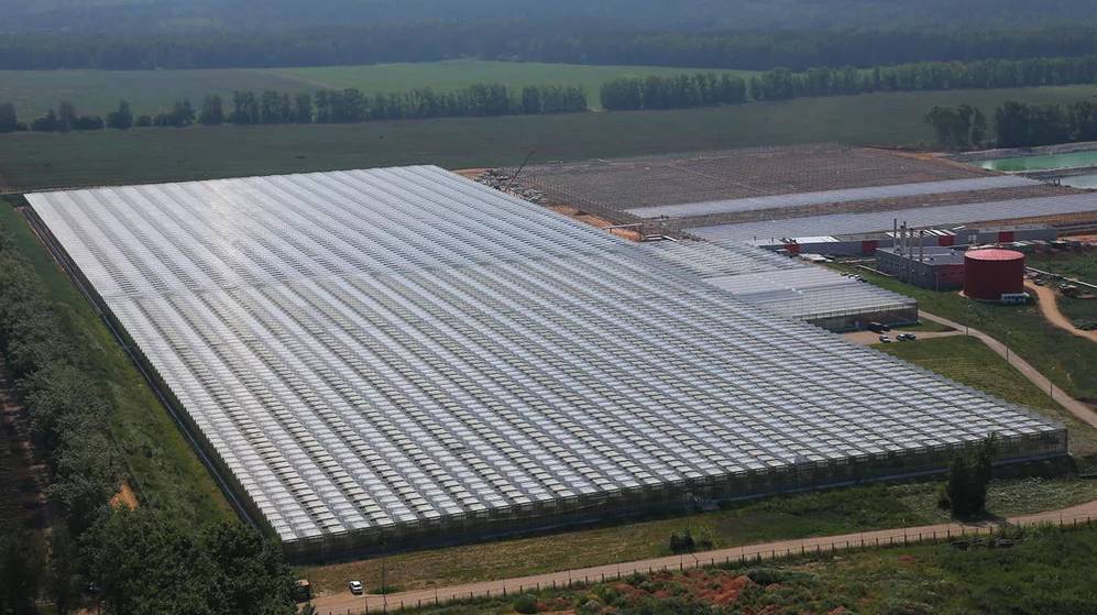 679 новых объектов подключили к электросетям специалисты «Брянскэнерго» в первом полугодии 2025 года