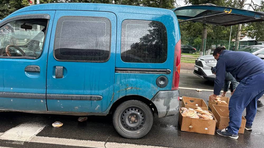 Собрать «урожай» до зернышка: брянцев кормят лепешками с дороги