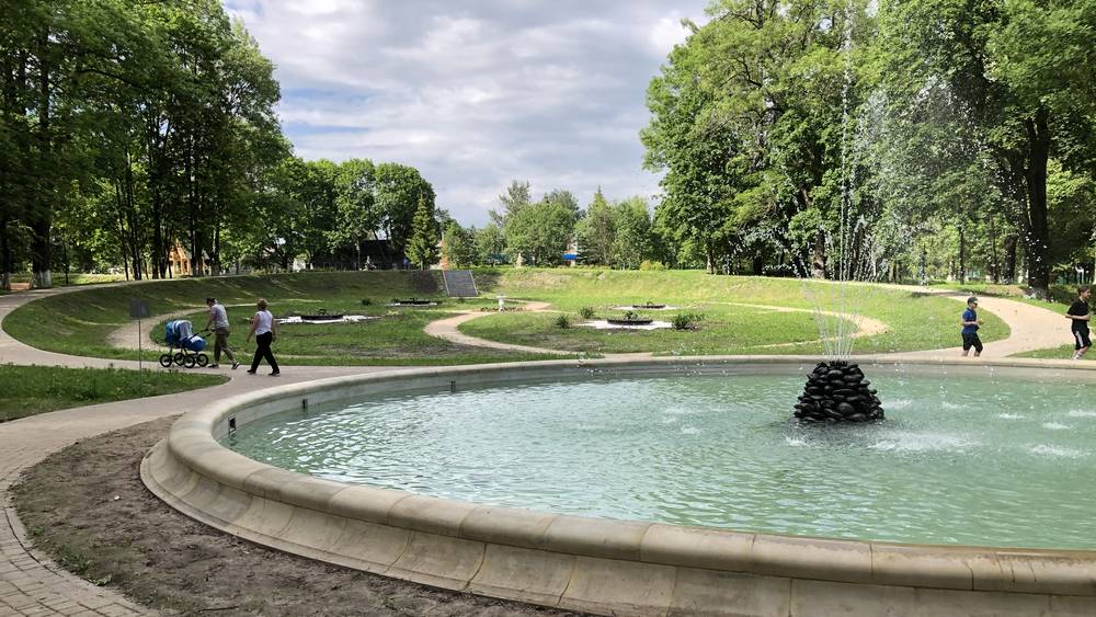 Брасовский и Почепский районы покажут себя в Брянске