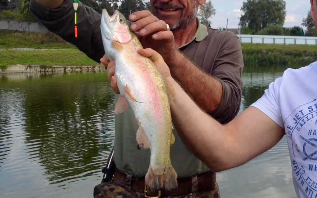 В Навле Брянской области двое мужчин украли у рыбака из Белгорода 20 форелей
