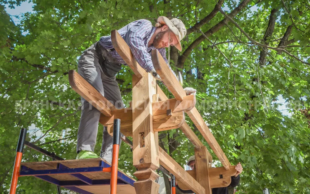 Вход в парк Алексея Толстого в Брянске украсит стенд с деревянными совами