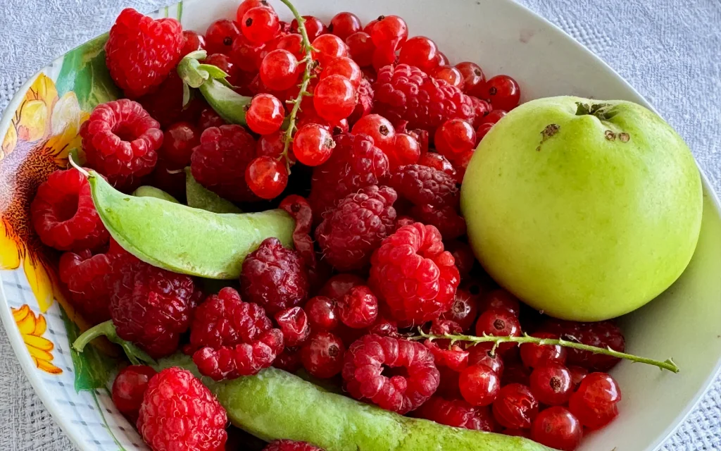 Жители Брянской области смогут покупать фрукты улучшенного качества