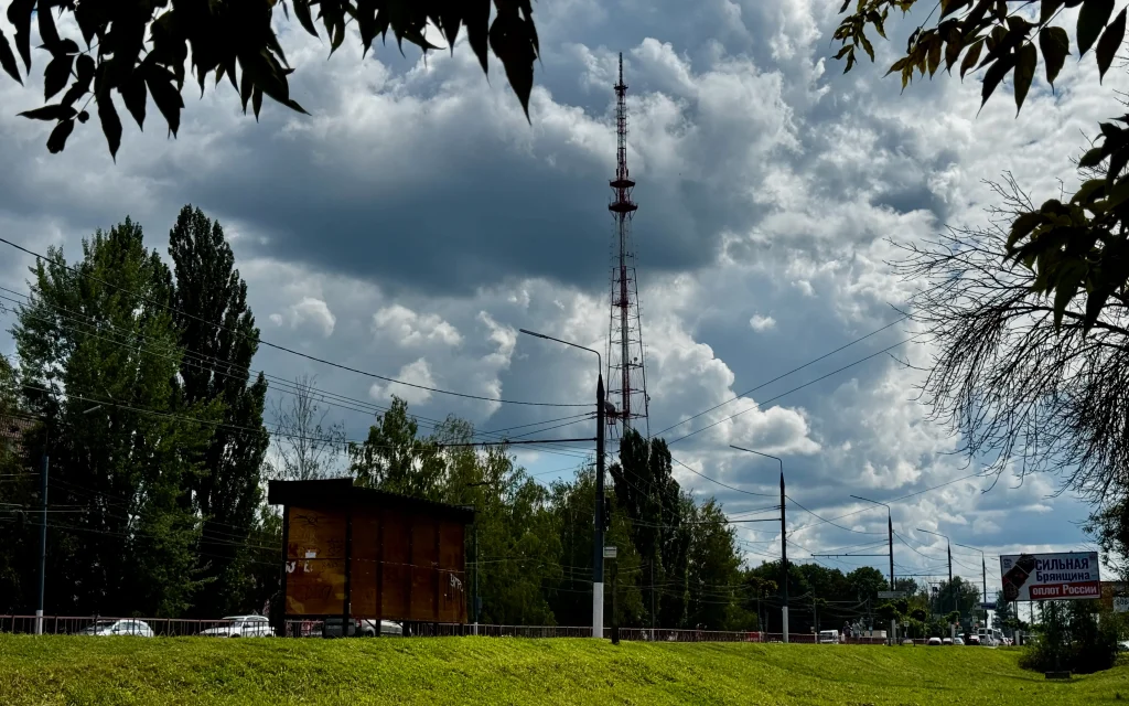 В Брянске стартовал месячник чистоты и благоустройства