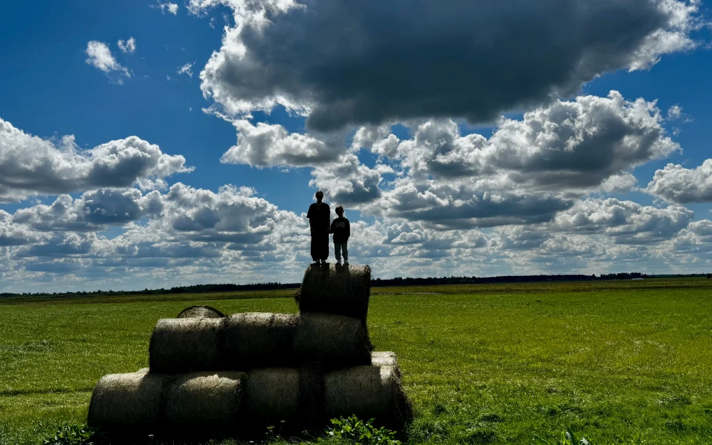 В Брянской области предсказали резкий скачок температуры к выходным