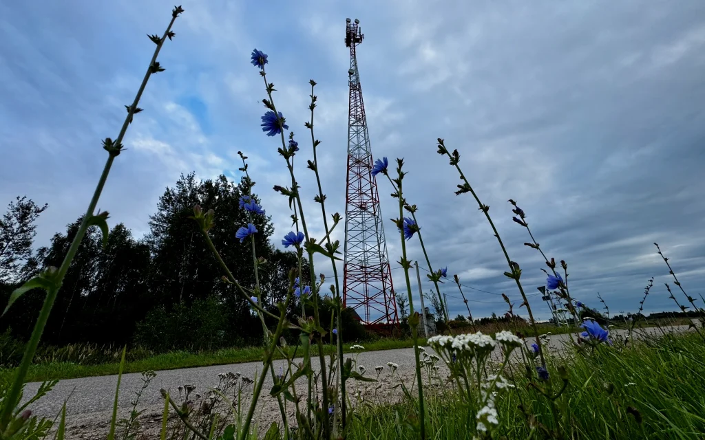 В Брянской области стартовало голосование за установку базовых станций 4G