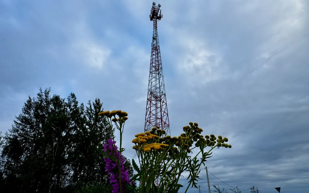 Жители Брянщины продолжают голосовать за населенные пункты для подключения к интернету в 2026 году