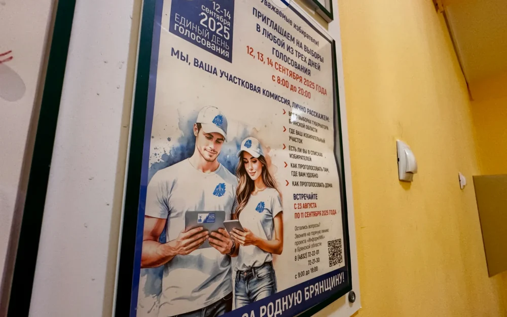 В Брянской области стартовало адресное информирование избирателей