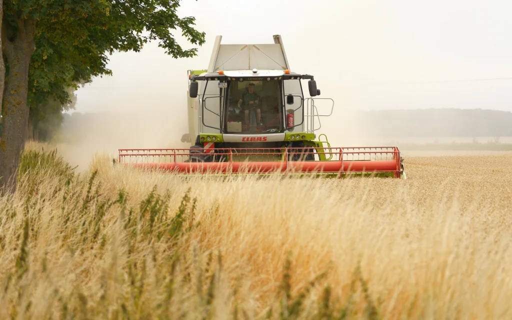 Богомаз: Брянская область может сушить в день зерна больше, чем производит