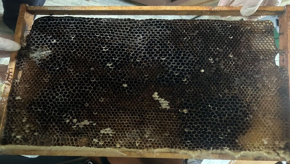 В Карачевском районе пчеловод разорил 28 ульев и украл с чужой пасеки 168 кг мёда