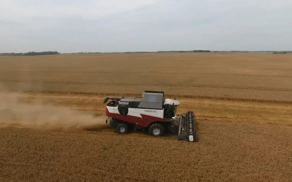 Брянской области уборочные площади увеличились на 38 тысяч гектаров