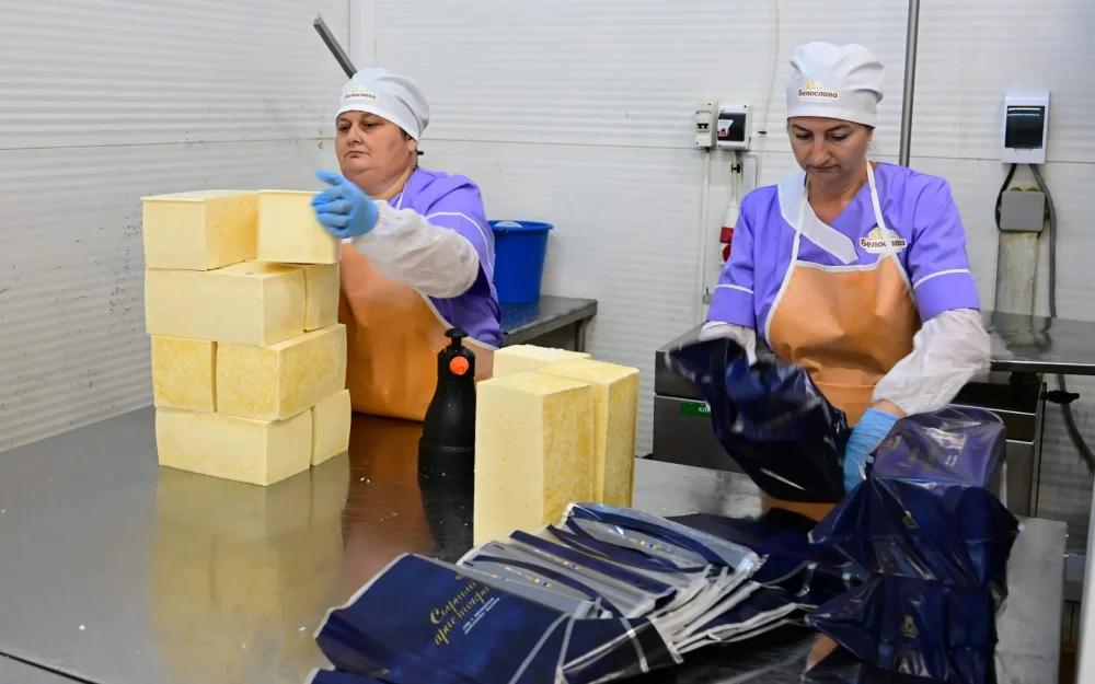 Глава Брянской области отметил рост промышленности и АПК в Почепском районе