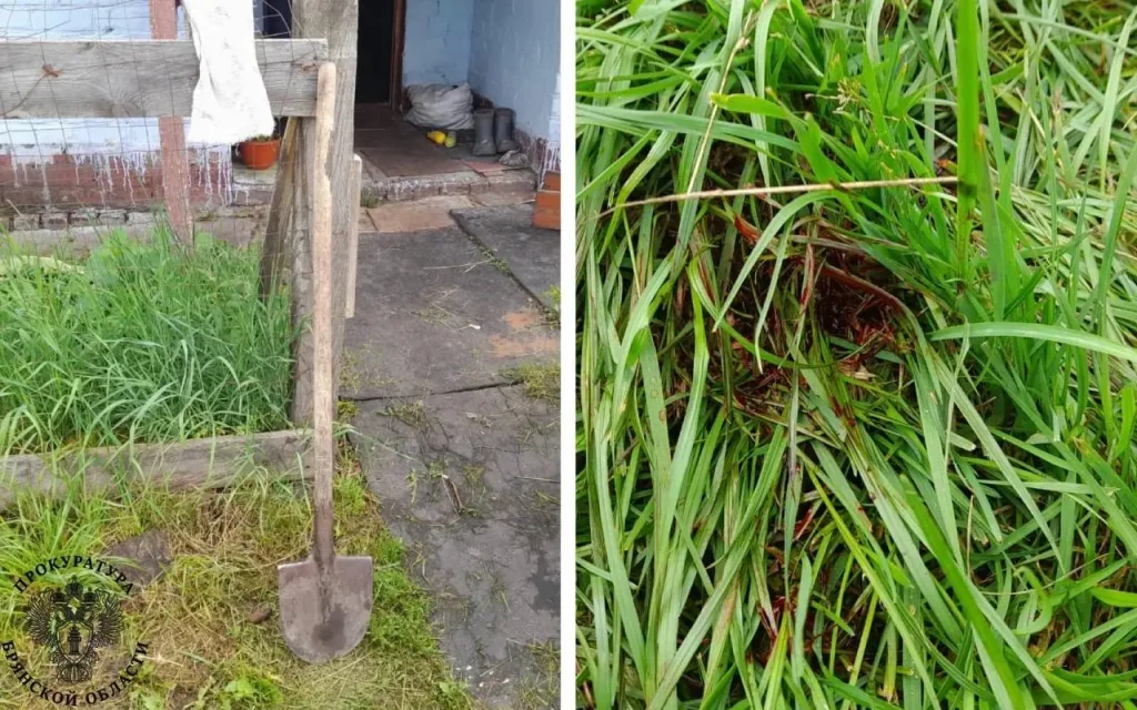 Брянский суд арестовал обвиняемого в покушении на убийство с помощью лопаты