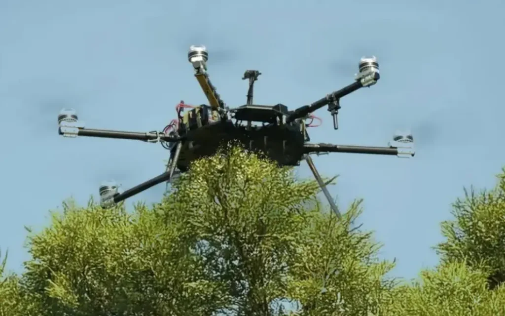 В сети сообщили о масштабной атаке украинских боевиков на брянские села