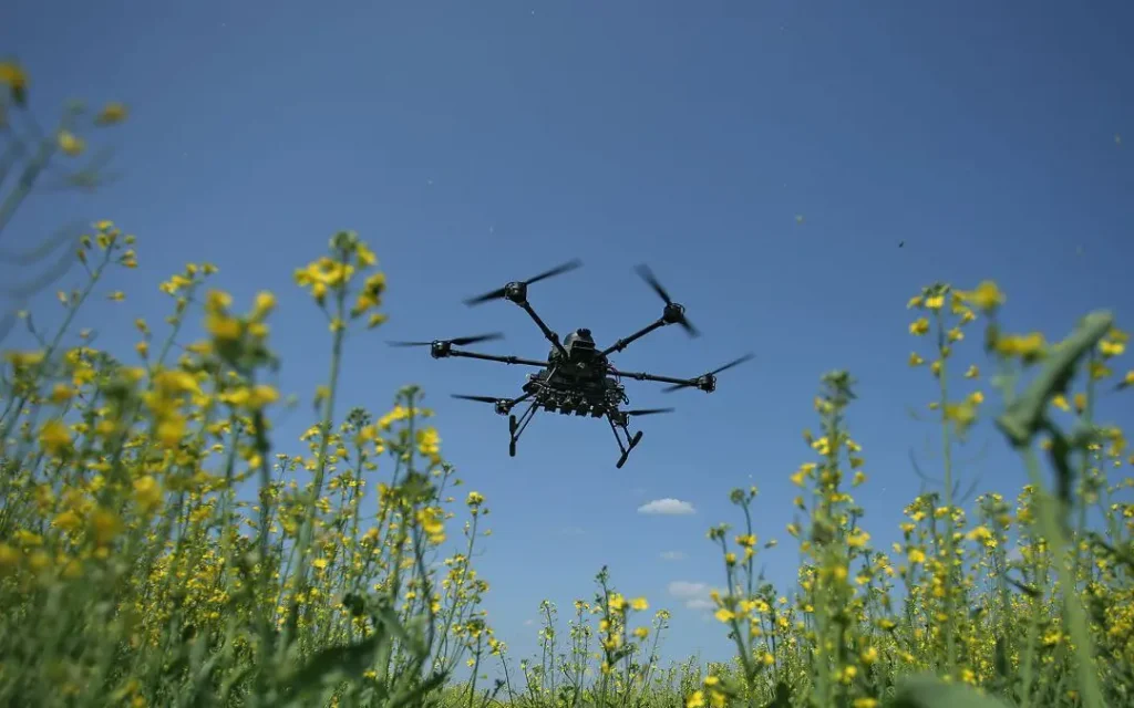 Появились фото последствий жуткого удара бандеровцев по брянскому поселку