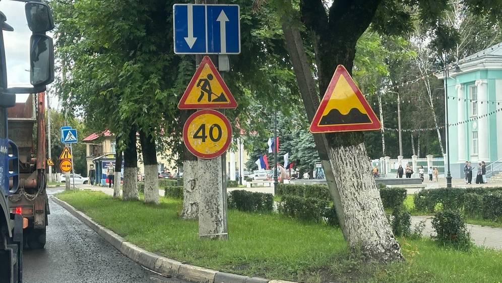 Брянцы попросили защитить от дорожников «знаковые» деревья