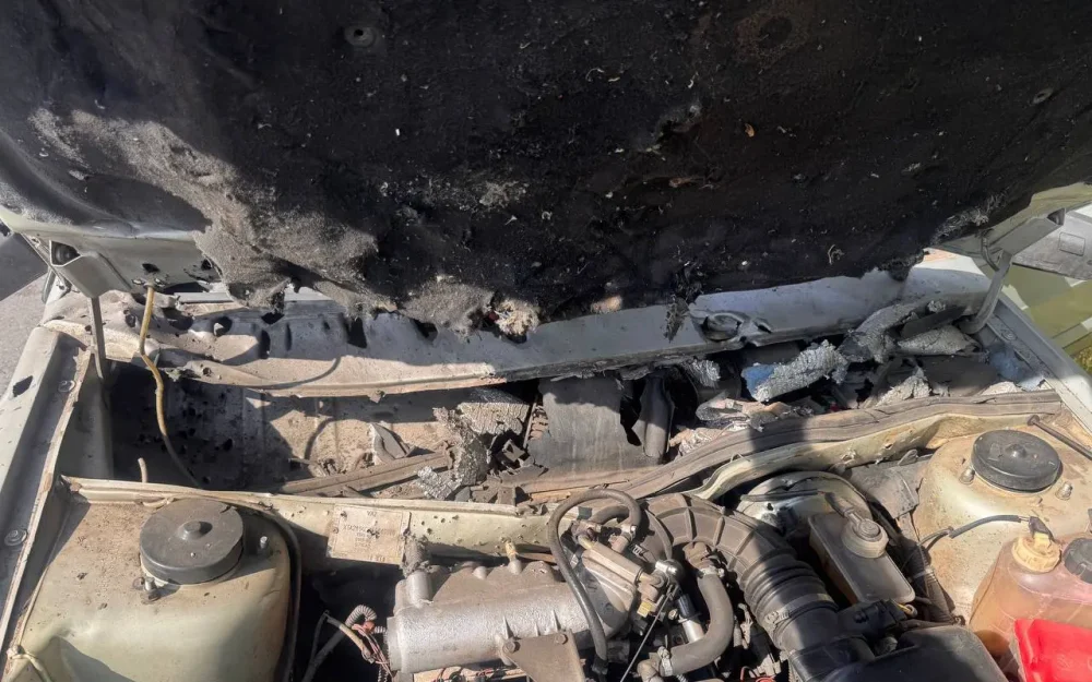 ООН обеспокоили удары ВСУ по мирным жителям в Брянской области