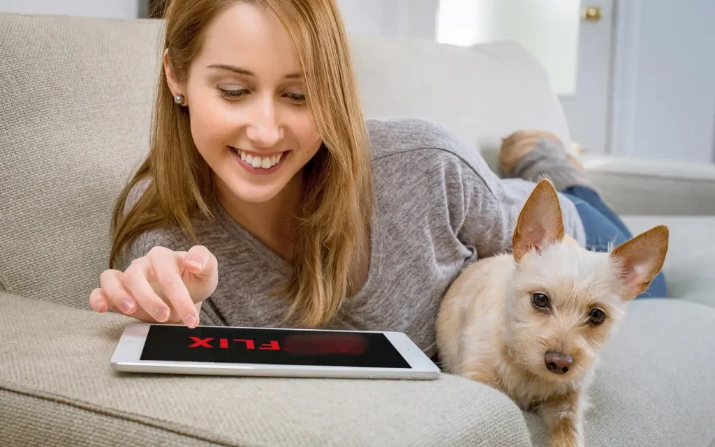 Zetflix как полноценная альтернатива Netflix