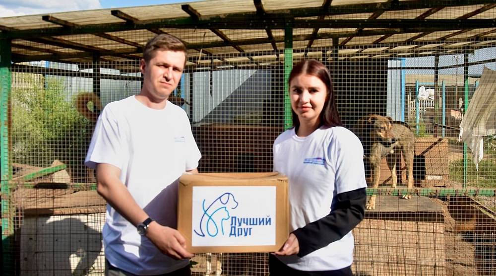 Приют «Добрые руки» с благотворительным визитом посетили активисты Молодой гвардии «Единой России»