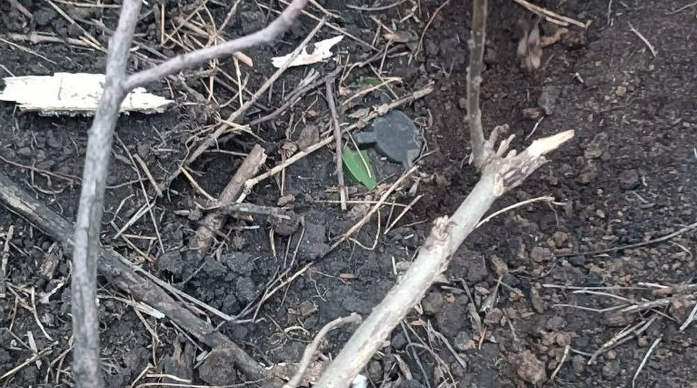 В брянском приграничье на мине украинских боевиков погиб мужчина и ранен юноша