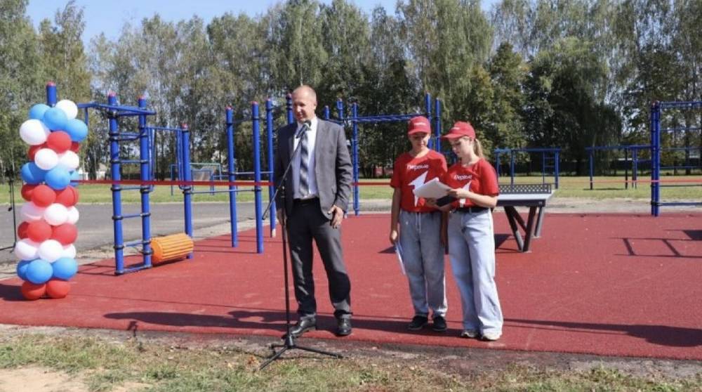 В Дубровке открыли новую спортивную площадку в рамках проекта «Детский спорт»