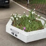 Жители Брянска пожаловались на засилье рекламы наркотиков в центре города