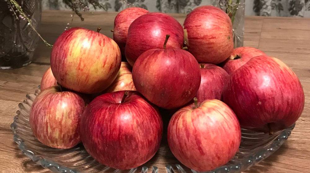 Огромный урожай брянских яблок оказался ненужным