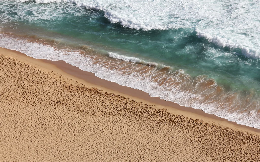 Чистота пляжей — в наших руках: Сбер и «Чистые игры» открывают марафон «Сберегаем пляжи вместе»