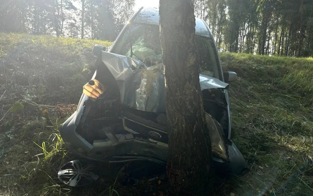 В Выгоничском районе Ford Focus врезался в дерево — пострадали четверо