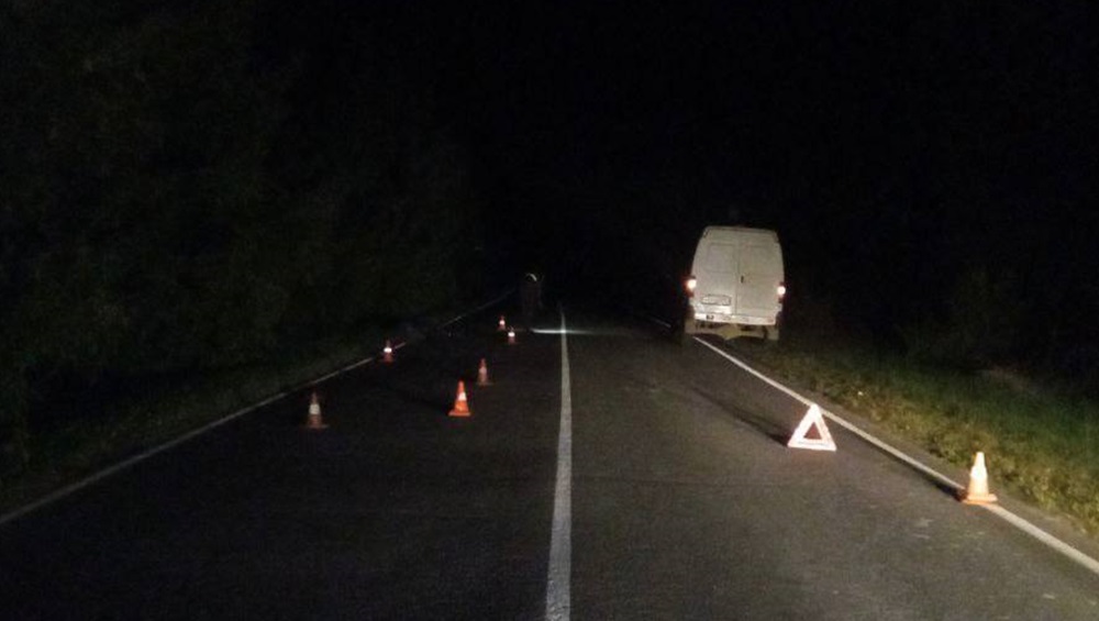 В Суражском районе «Газель» на трассе насмерть сбила 61-летнего пешехода