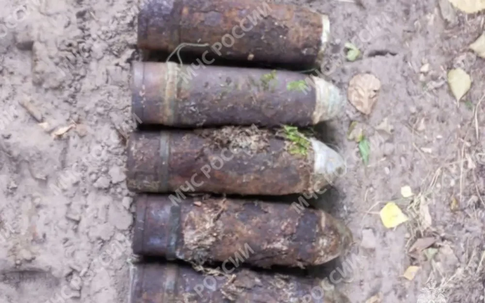 В Брянской области спасатели обезвредили взрывоопасные находки времён войны