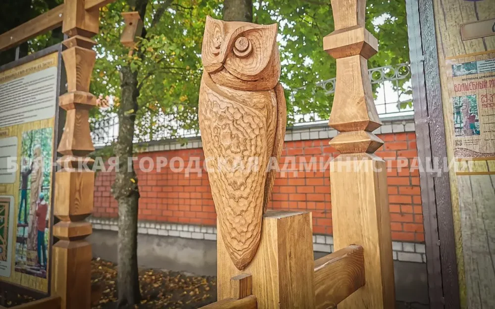 В брянском парке имени Алексея Толстого поселились деревянные совы