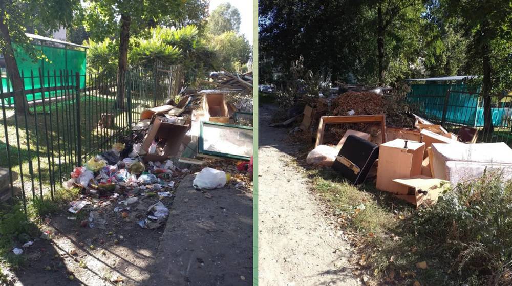 Жительница Брянска предупредила о «таборе» крыс возле детей