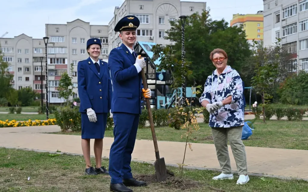В сквере Рекункова в Брянске появились новые сосны и рябины