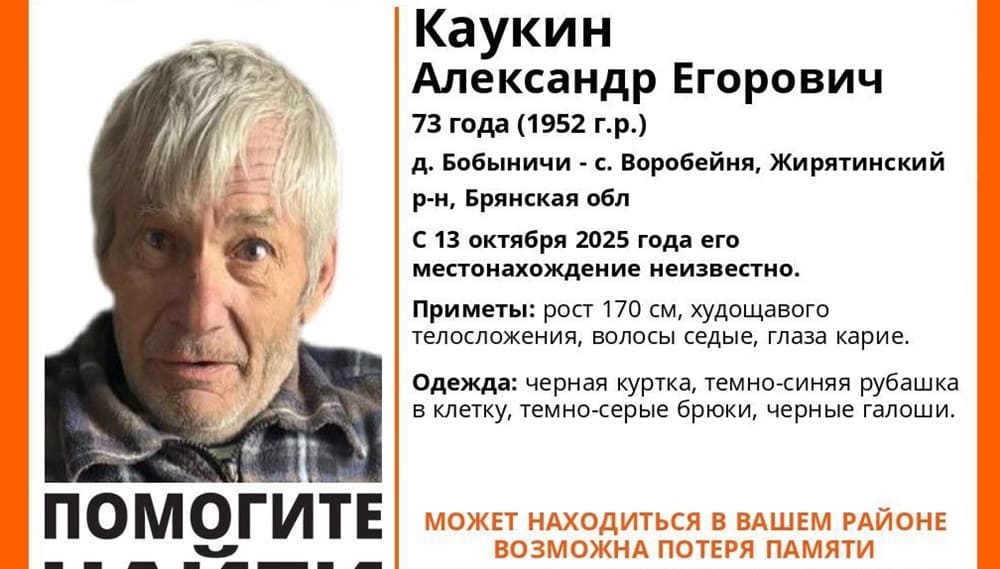 Пропавшего в Жирятинском районе 73-летнего Александра Каукина нашли живым